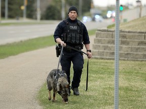 Police work at the scene of a fatal shooting along Baseline Road between Highway 21 and Cloverbar Road on Friday, May 7. A 43-year-old Park man is facing two charges, one count of murder and another count of attempted murder. David Bloom/Postmedia