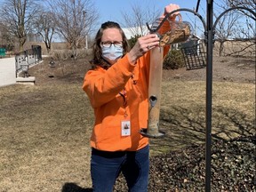 Woodstock's Natalie Thomson fills the bird feeders on the grounds of VON Sakura House. Thomson places oranges on the feeders throughout May and early June in a bid to attract orioles, a legacy project in memory of her father Jack Hayward. (Natalie Thomson)