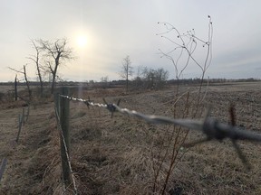 On Tuesday, elected officials were presented with three options to resolve the issue of two local school boards sharing a 6.12 hectare school site in Cambrian Crossing. The area just north of Sherwood Park is set to be home for more than 12,000 future residents. Lindsay Morey/News Staff