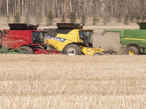 Farmers, businesses and individuals all come together to help the Bear Lake Growing Project succeed each year The project raises grain to be sold and donated to the Canadian Food Grains Bank to feed the hungry around the world and train farmers to produce better crops in their regions. FILE PHOTO RANDY VANDERVEEN