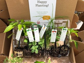 The Kids Co-op is holding a virtual Fundraiser through Plantables. SUBMITTED