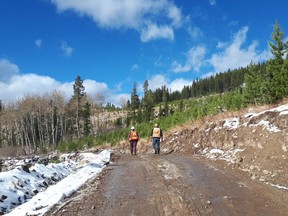 Geologists walking along a road on the Cabin Ridge Coal project area.