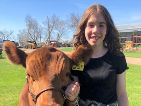 Sadie McComb, 14, readied her Red Angus for purchase.