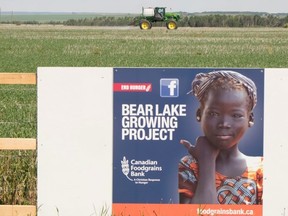 Farmers, businesses and individuals all come together to help the Bear Lake Growing Project succeed each year The project raises grain to be sold and donated to the Canadian Food Grains Bank to feed the hungry around the world and train farmers to produce better crops in their regions.