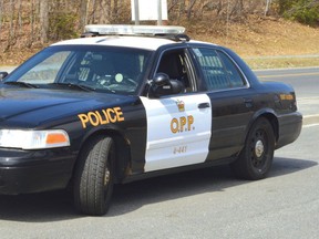 Two Saugeen First Nation residents were charged with various offences after a traffic stop.