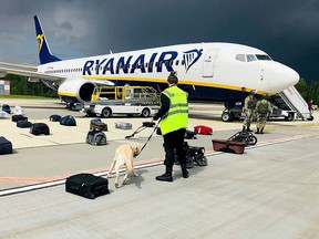 In this file photo a Belarusian dog handler checks luggage off a Ryanair plane parked at Minsk International Airport's apron in Minsk, on May 23, 2021.