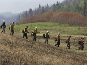 Firefighters head into the trees along Hwy 63 north of Fort McMurray Alta. on Thursday June 2, 2016. David Bloom/Postmedia