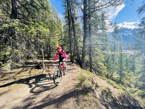 Creating a world-class mountain bike trail system can attract visitors and improve the quality of life for residents.