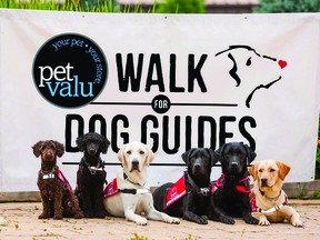 Photo supplied
The country-wide virtual Pet Valu Walk for Dog Guides will be held on Sunday, May 30.