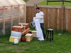 Andrew Angus inspects and manages his hives. Supplied image