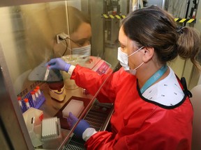 Medical laboratory technologist Danielle Lalonde handles samples in the medical microbiology laboratory of Belleville General Hospital Aug. 25. The lab's work includes COVID-19 testing of samples from patients, staff and doctors.