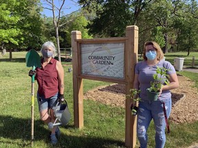 Aliki Mikulich (left) and Julia VanDasselaar get ready to do some planting at the Buck Park Community Garden on Spring Street in Brantford. Plans call for more community gardens to be planted this year both in the city and Brant County.