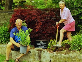 Helen Uren, co-president of the Simcoe and District Horticultural Society, was recently warned that tending flower beds at Governor Simcoe Square in Simcoe was a potentially dangerous activity. This week, Uren and husband Murray planted a hydrangea bush in the society's garden at the north end of Wellington Park in honour of the Judd family of Simcoe – longtime supporters of the society.