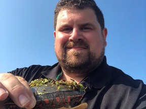 Chatham-Kent councillor Anthony Ceccacci, shown assisting a painted turtle, entered a successful motion on April 26 to raise awareness about wildlife crossings, in partnership with the Lower Thames Valley Conservation Authority. Handout