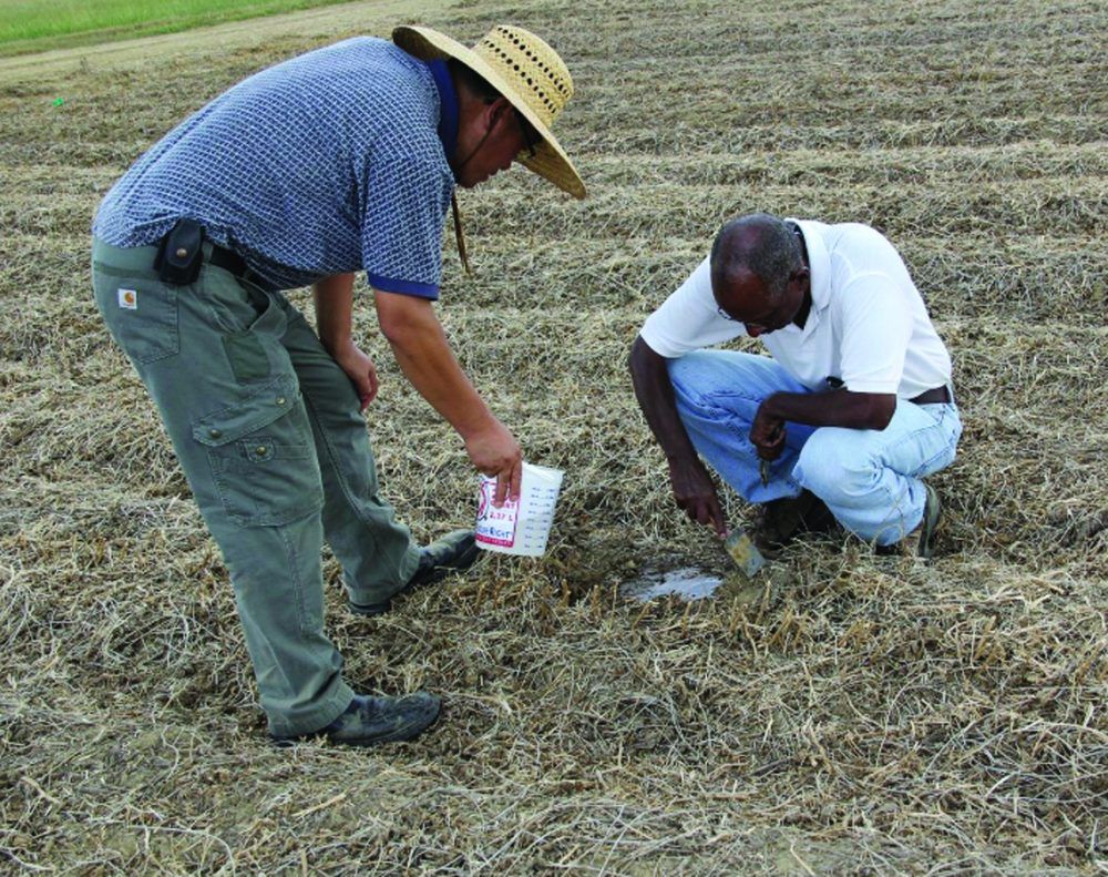 Poultry litter benefits the soil and soy yields Ontario Farmer