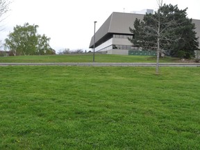A motion by Coun. Dean Hollingsworth requesting more information on the possible creation of beach volleyball courts in Lamoureux Park was unanimously supported by council during its Monday meeting. Pictured is a location in the park that used to house such a court, on Tuesday May 11, 2021 in Cornwall, Ont. Francis Racine/Cornwall Standard-Freeholder/Postmedia Network