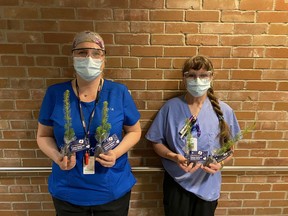 Registered nurses in the Cornwall Community Hospital's Emergency Department, Rachel Cook (left) and Lise Piche, with tree seedlings available for staff as part of National Nursing Week. Handout/Cornwall Standard-Freeholder/Postmedia Network

Handout Not For Resale