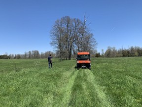 Jacob Murray of Topsy Farms walks through a pasture that is to be replanted as a forest on Amherst Island on Friday, May 13.