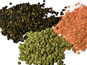 lentils