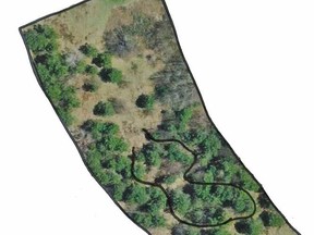 An overhead image of the proposed Edgar Street Park in Sundridge. No work on the 1.4 acres of land has begun yet. The municipality is waiting to hear from the federal government if it will help with some of the park's proposed infrastructure. The figure-eight-like dark line is the proposed route the walking trail would take through the existing trees. Sundridge Photo