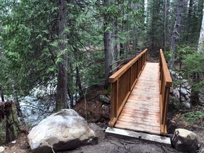 The pedestrian bridge at the Eau Claire Gorge Conservation Area. North Bay-Mattawa Conservation Authority Photo