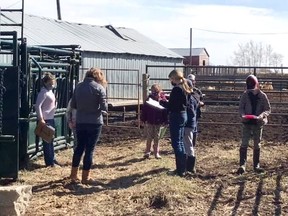 Carrot River's 4-H club is up and running for the season. Photo supplied.