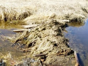 No charges were laid in this theft of fence posts in the Porcupine Plain area after the evidence was discovered having been put to good use. Photo supplied.