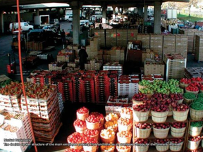 ontario food terminal