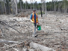 Cyril Cook was one of 23 Algonquin College Forestry Technician Program students that recently took part in tree planting efforts in Algonquin Park and the Nipissing Forest.