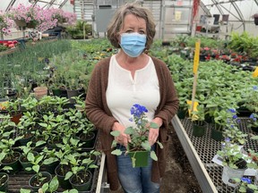 Stratford District secondary school teacher Chrstine Ritsma among the many plants students grew in the school’s greenhouse earlier this year. Plants are available online for pickup this week. Proceeds from the sale will go towards next year’s class.
Cory Smith/Stratford Beacon Herald