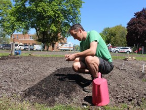 Darragh Dolan plants leeks in the Germain Park community garden. It's his second season gardening there. The City of Sarnia is working on a policy to help spur the creation of more community gardens and determine the best locations to put them. (Paul Morden/The Observer)