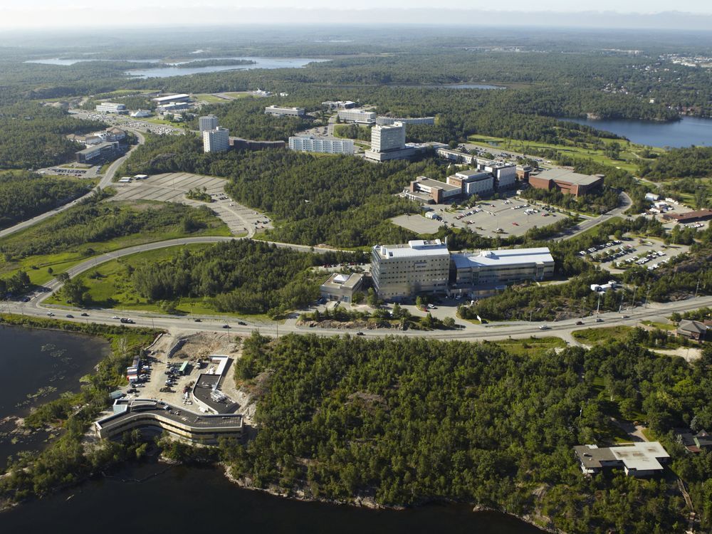 Accent: Living with Lake remains a symbol of hope for Sudbury | Sudbury ...