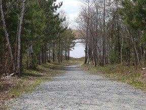 Trails at Laurentian University in Sudbury, Ont. John Lappa/Sudbury Star/Postmedia Network