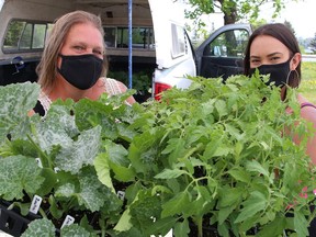 Ginette Frappier, left, and Cristal Caron, of Family Roots Farm located in Chelmsford, display zucchini and beef steak tomato plants at the Sudbury Market located off of York Street in Sudbury, Ont. on Thursday May 20, 2021. The market is open Thursdays from 2 p.m. to 6 p.m., and Saturdays from 9 a.m. to 2 p.m. John Lappa/Sudbury Star/Postmedia Network