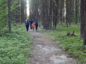 A group of hikers are seen taking a guided tour along the Wintergreen Trail in Kettle Lakes Provincial Park in this file photo. Ontario Parks will be offering free day-use at 115 provincial parks including Kettle Lakes Provincial Park once the stay-at-home order is lifted.