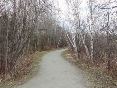 In a city that boasts an extensive trail system, the one running through Gillies Lake is one of the most visited.

RICHA BHOSALE/The Daily Press