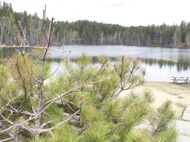 Kettle Lakes Provincial Park is so named for its 22 deep, spring-fed kettle lakes that were originally formed by glaciers.

RICHA BHOSALE/The Daily Press