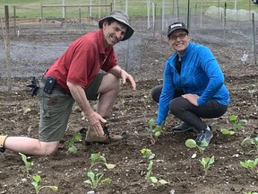 Maria Leitao and Dave Zeldon check out one Leitao's plants in her garden plot at the John Race Memorial Community Gardens in Simcoe on Saturday. Vincent Ball