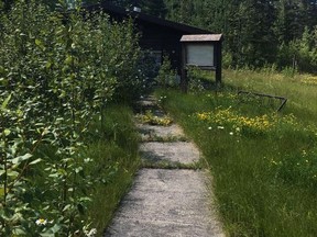 Councillor Dan Belisle believes it is going to be an uphill struggle to get Greenwater Park re-opened. It has been left to return to nature since being closed. Photo from Facebook/Friends of Greenwater Park.TP.jpeg