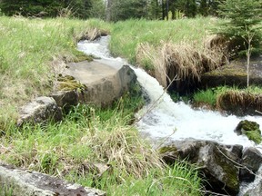 In a normal year winter bleeds from the hillsides in May, not April.