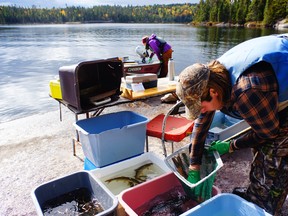 The compounds found in certain anti-depressants can affect the behaviour of fish, which can impact an entire ecosystem.