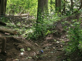 Oxford County OPP are looking for information after wire and other debris was placed on a local trail. (OPP)