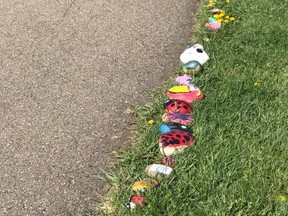 A rock snake in Fort Saskatchewan is quickly growing, as local residents take part in the fun activity. Photo Supplied via Facebook