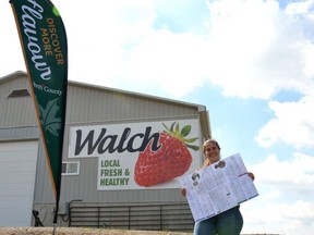 Louisa Walch from Walch Family Strawberries, a family-run operation just south of Stratford, is excited about being included on Perth County’s new and improved Discover More Flavour farm gate map. Now in its third year, over 65 local farms are featured on the latest version of the map, a guide to area food producers and agri-tourism operators. Galen Simmons/Stratford Beacon Herald