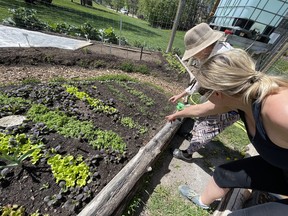 Members of the Canmore Community Garden (CCG). Photo Marie Conboy.