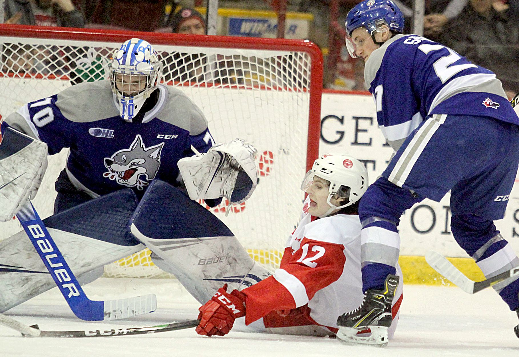 Wolves welcome 15 new players in OHL priority selection - Sudbury News