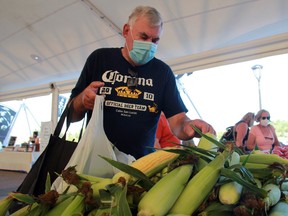 Gerry Macijko from Edmonton, who has a cottage in the area, picks out some corn while wearing a mask at the Matiowski Farmers' Market under the Whitecap Pavilion in August 2020. This first market of the year is slated for Wednesday, June 16 from 8:30 a.m. to 2 p.m.