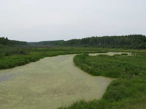 Beaver River