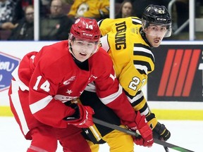 Soo Greyhounds' Cullen McLean (14) checks Sarnia Sting's Sean Josling in the first period at Progressive Auto Sales Arena in Sarnia, Ont., on Friday, Nov. 8. 2019. Mark Malone/Postmedia Network