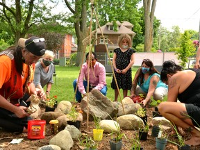 Todd Torresan, a member of the Haudenosaunee of the Oneida Nation and the leader of a local Indigenous talking circle, joined other Indigenous community members, Multicultural Association of Perth Huron founder Dr. Gezaghn Wordofa, Falstaff Family Centre owner Loreena McKennitt and others to bless and plant a Medicine Wheel garden at the Falstaff Family Centre on National Indigenous Peoples Day Monday. Galen Simmons/The Beacon Herald/Postmedia Network